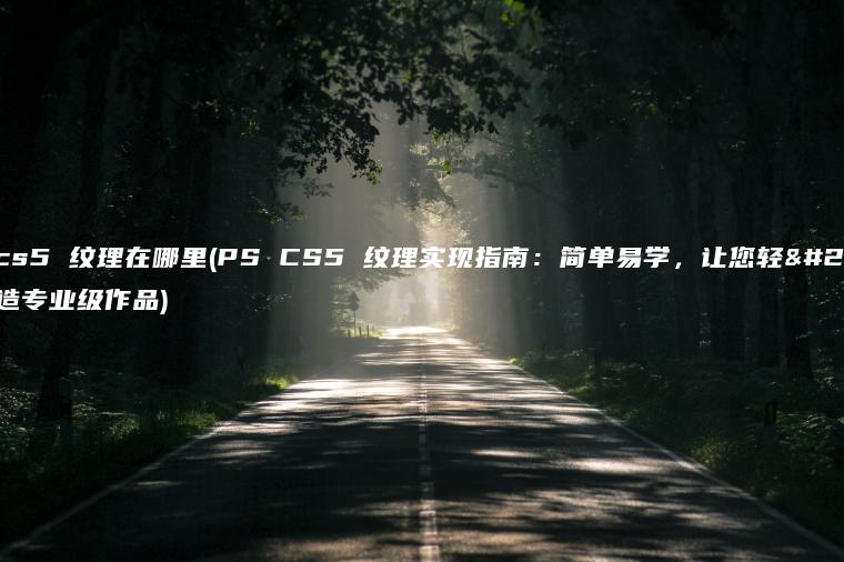 ps cs5 纹理在哪里(PS CS5 纹理实现指南：简单易学，让您轻松打造专业级作品)