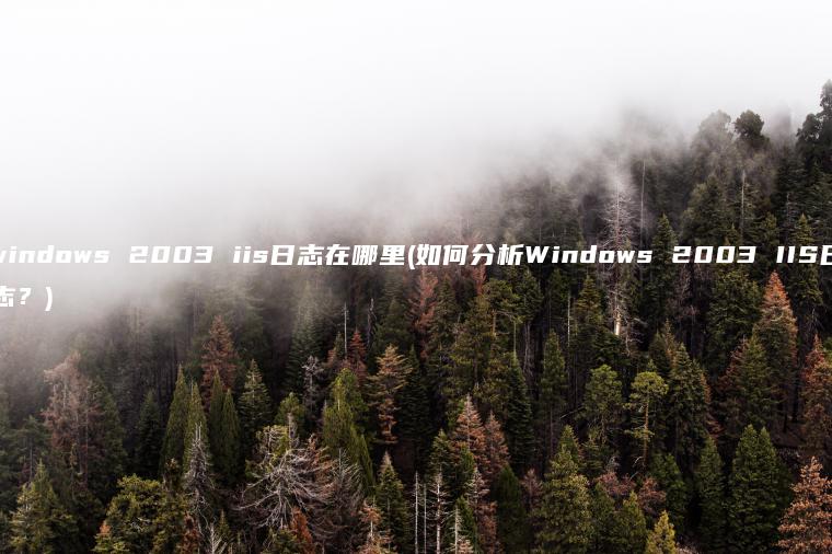 windows 2003 iis日志在哪里(如何分析Windows 2003 IIS日志？)