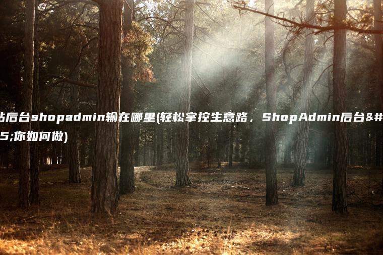 网站后台shopadmin输在哪里(轻松掌控生意路，ShopAdmin后台教你如何做)