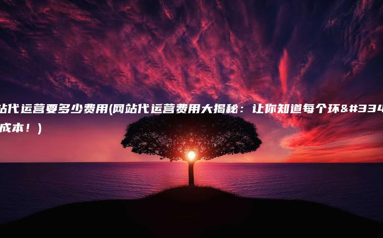 网站代运营要多少费用(网站代运营费用大揭秘：让你知道每个环节的成本！)