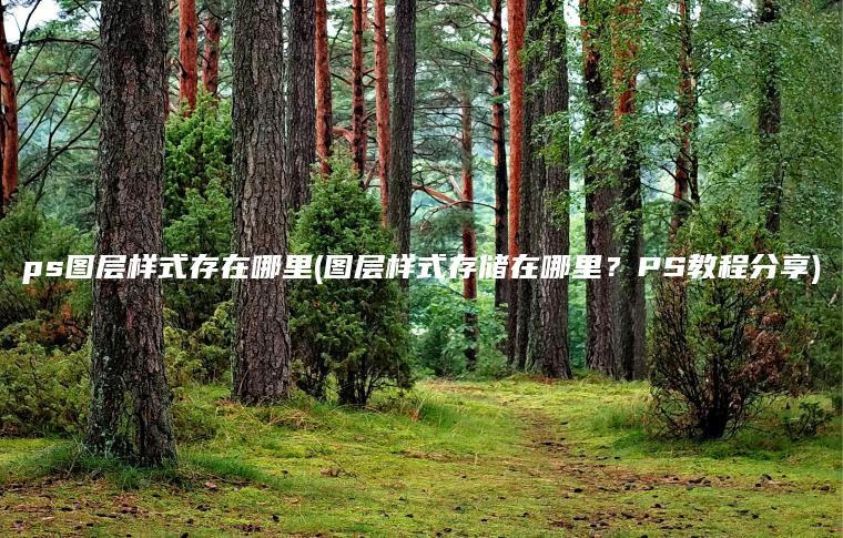 ps图层样式存在哪里(图层样式存储在哪里？PS教程分享)