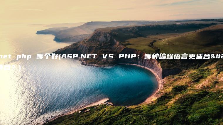 asp.net php 哪个好(ASP.NET VS PHP：哪种编程语言更适合您的项目？)