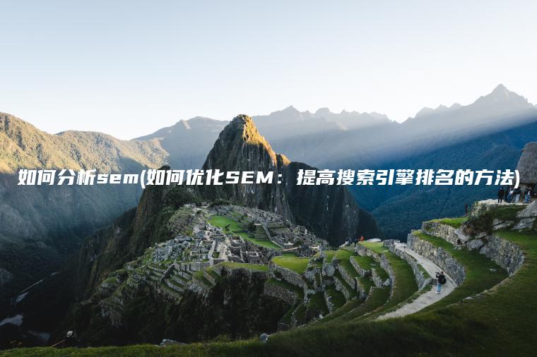 如何分析sem(如何优化SEM：提高搜索引擎排名的方法)