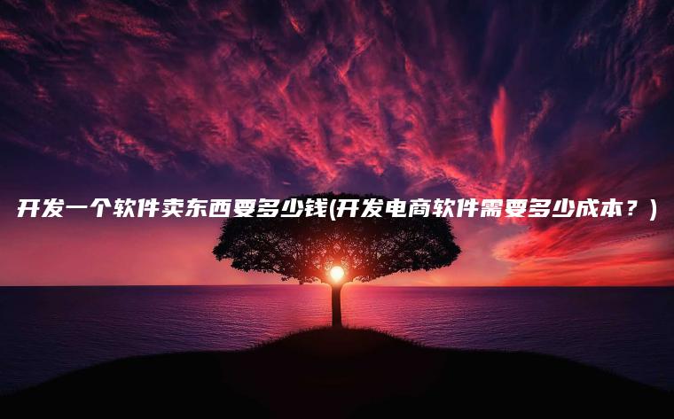 开发一个软件卖东西要多少钱(开发电商软件需要多少成本？)