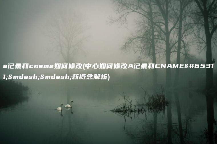 a记录和cname如何修改(中心如何修改A记录和CNAME？——新概念解析)