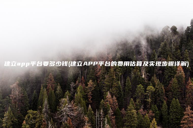 建立app平台要多少钱(建立APP平台的费用估算及实现步骤详解)