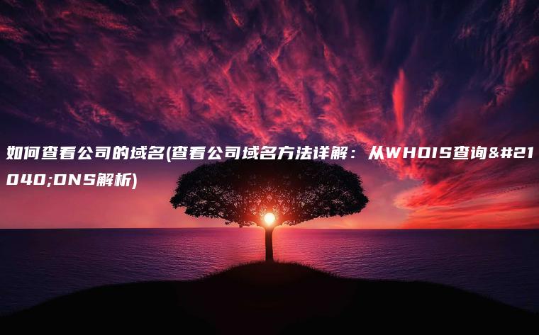 如何查看公司的域名(查看公司域名方法详解：从WHOIS查询到DNS解析)