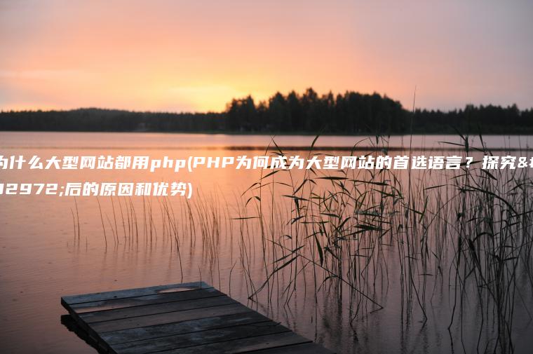 为什么大型网站都用php(PHP为何成为大型网站的首选语言？探究背后的原因和优势)