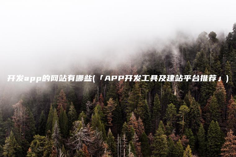 开发app的网站有哪些(「APP开发工具及建站平台推荐」)