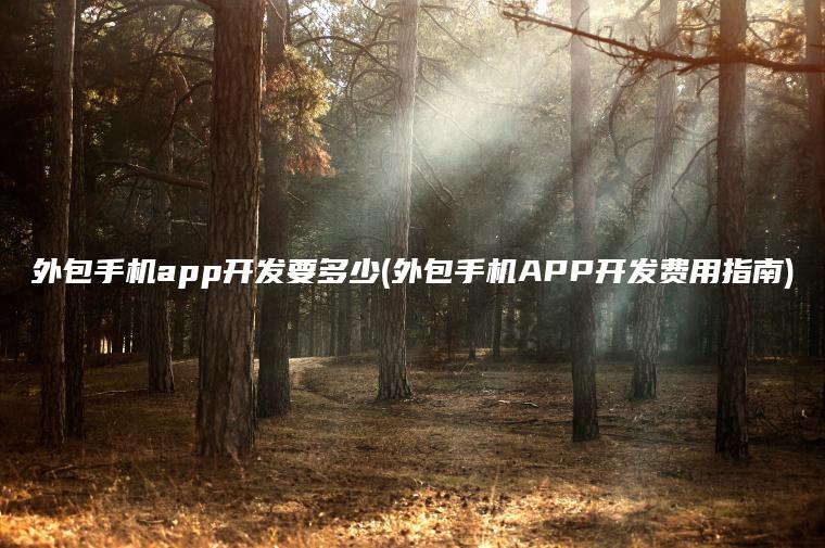 外包手机app开发要多少(外包手机APP开发费用指南)