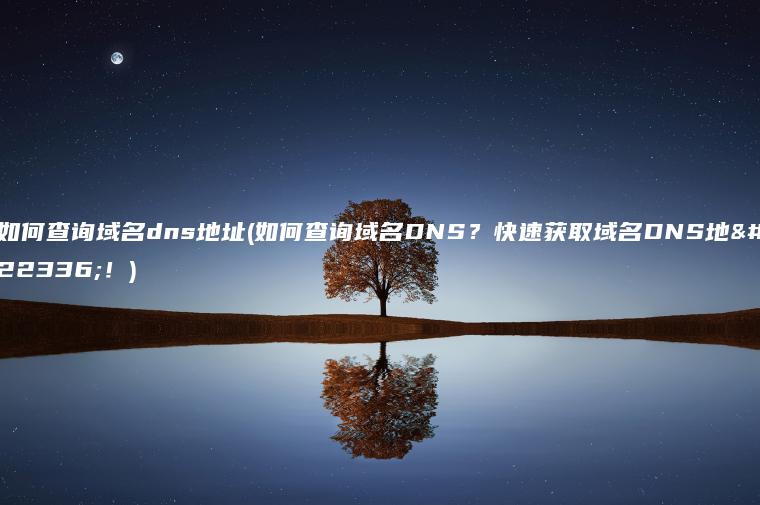 如何查询域名dns地址(如何查询域名DNS？快速获取域名DNS地址！)