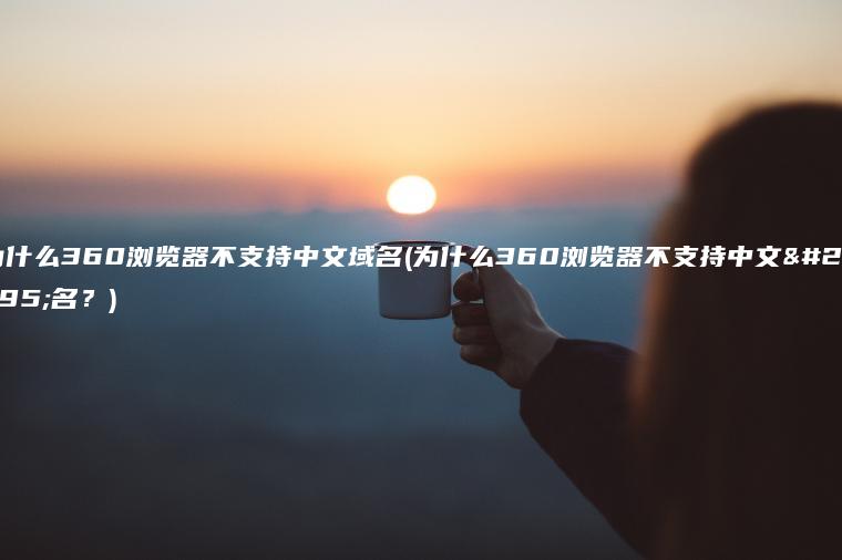 为什么360浏览器不支持中文域名(为什么360浏览器不支持中文域名？)