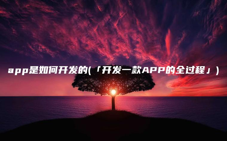 app是如何开发的(「开发一款APP的全过程」)