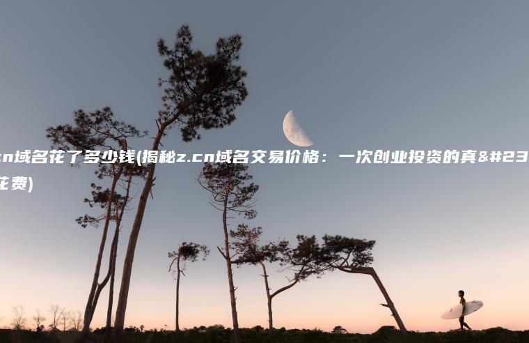 z.cn域名花了多少钱(揭秘z.cn域名交易价格：一次创业投资的真实花费)