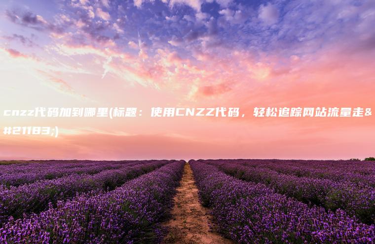 cnzz代码加到哪里(标题：使用CNZZ代码，轻松追踪网站流量走势)