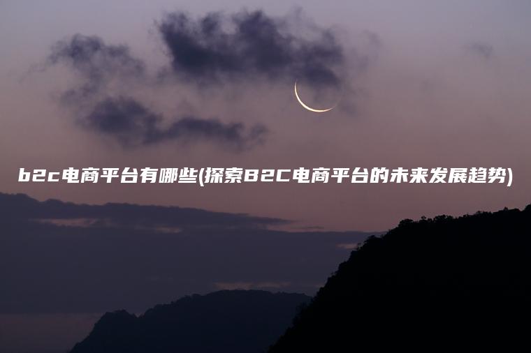 b2c电商平台有哪些(探索B2C电商平台的未来发展趋势)