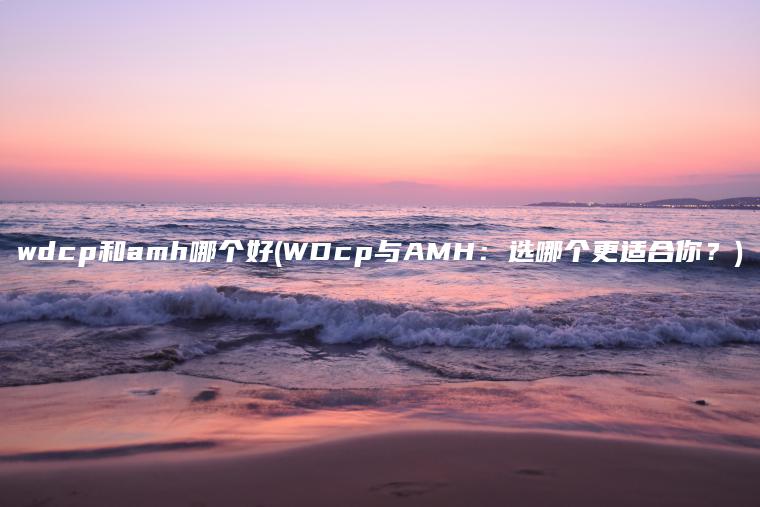 wdcp和amh哪个好(WDcp与AMH：选哪个更适合你？)