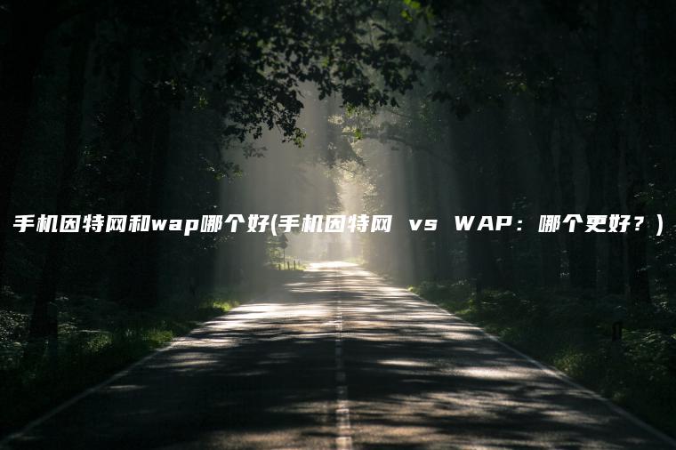 手机因特网和wap哪个好(手机因特网 vs WAP：哪个更好？)