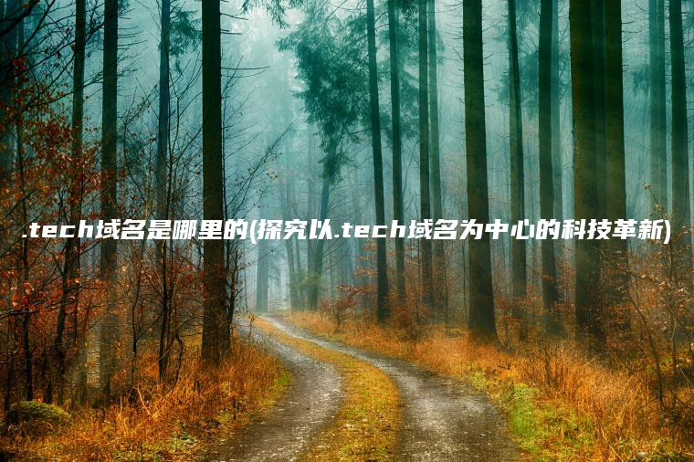 .tech域名是哪里的(探究以.tech域名为中心的科技革新)