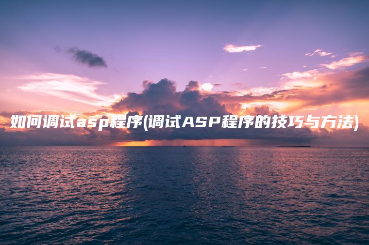 如何调试asp程序(调试ASP程序的技巧与方法)