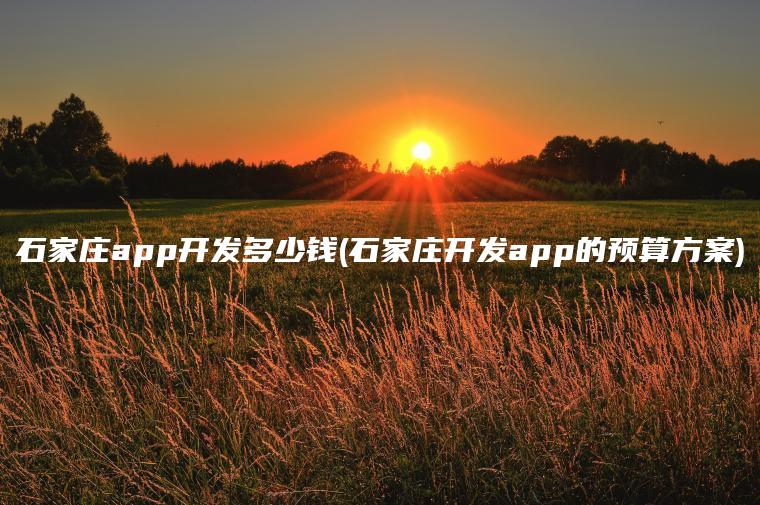 石家庄app开发多少钱(石家庄开发app的预算方案)