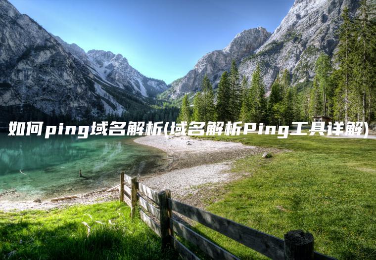 如何ping域名解析(域名解析Ping工具详解)