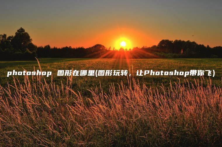 photoshop 图形在哪里(图形玩转，让Photoshop带你飞)