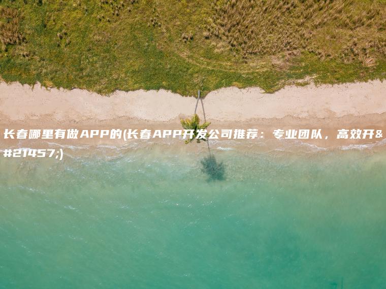 长春哪里有做APP的(长春APP开发公司推荐：专业团队，高效开发)