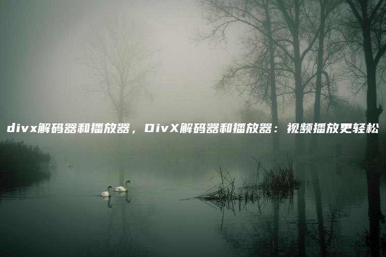 divx解码器和播放器，DivX解码器和播放器：视频播放更轻松