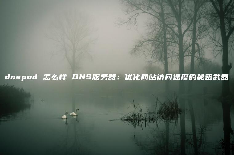 dnspod 怎么样 DNS服务器：优化网站访问速度的秘密武器