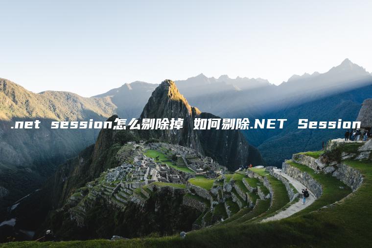 .net session怎么剔除掉 如何剔除.NET Session