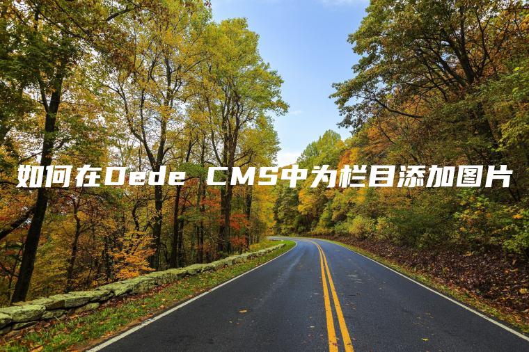 如何在Dede CMS中为栏目添加图片