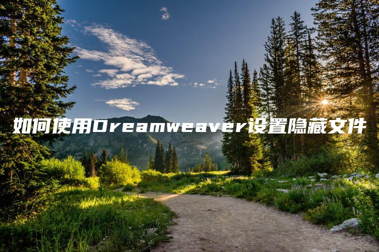 如何使用Dreamweaver设置隐藏文件