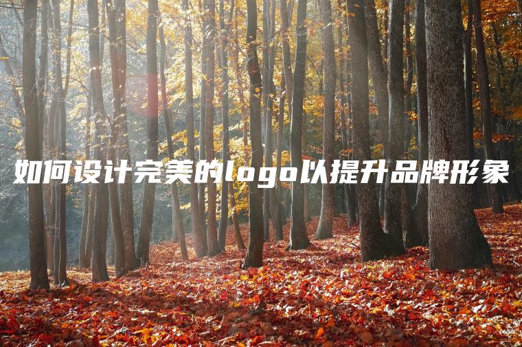 如何设计完美的logo以提升品牌形象