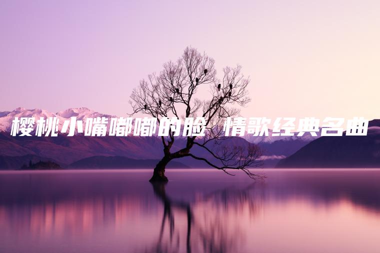 樱桃小嘴嘟嘟的脸 情歌经典名曲