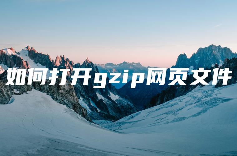 如何打开gzip网页文件