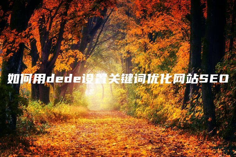 如何用dede设置关键词优化网站SEO