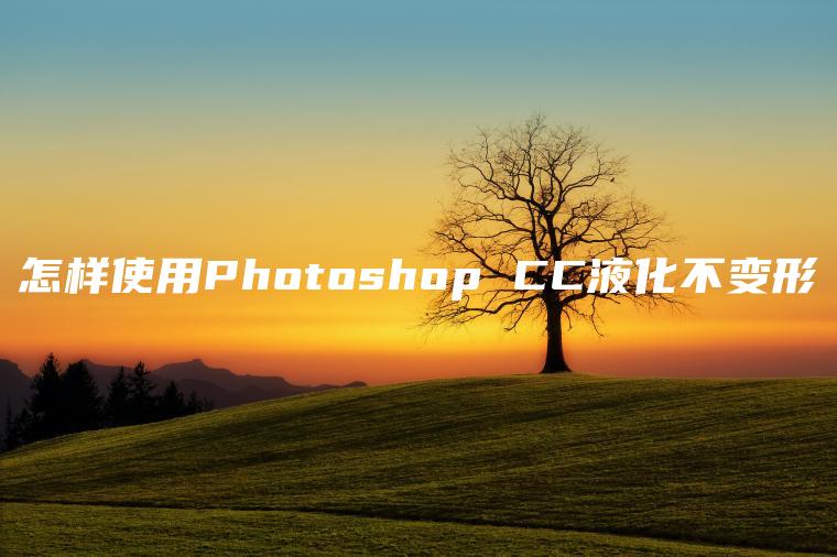 怎样使用Photoshop CC液化不变形