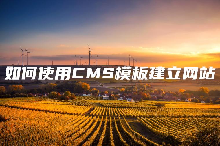 如何使用CMS模板建立网站