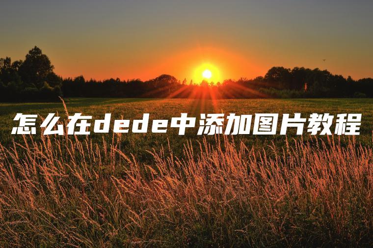 怎么在dede中添加图片教程