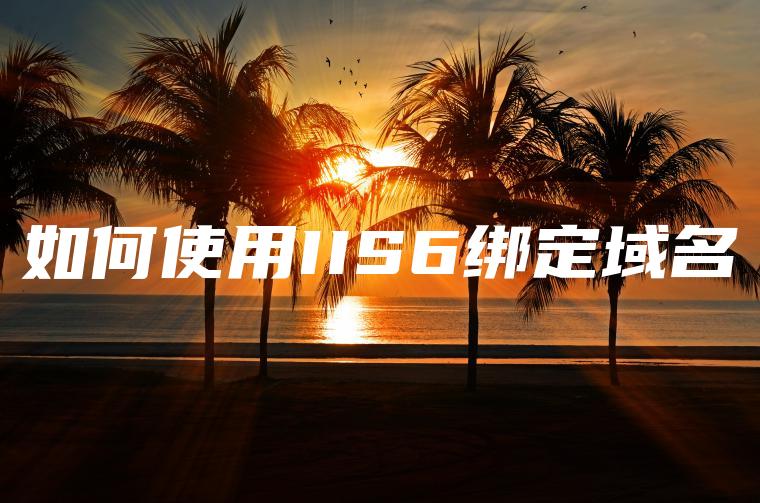 如何使用IIS6绑定域名