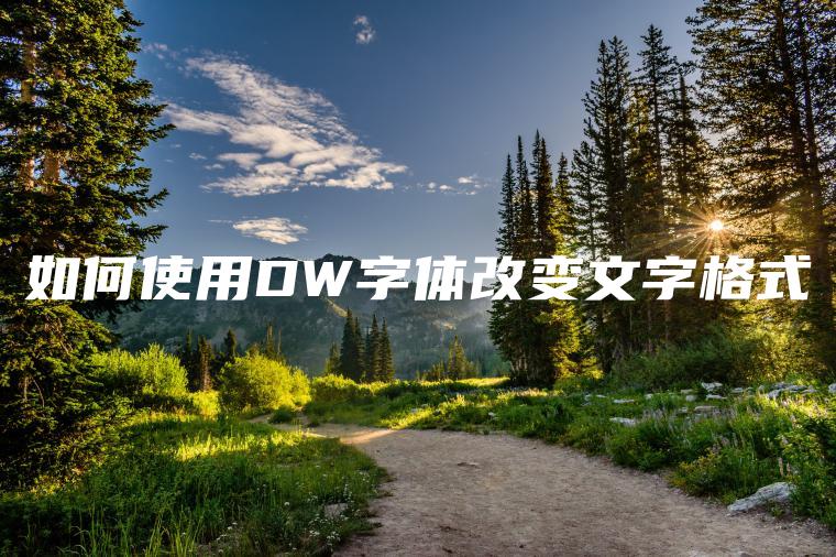 如何使用DW字体改变文字格式