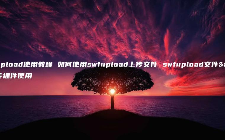 swfupload使用教程 如何使用swfupload上传文件 swfupload文件上传插件使用