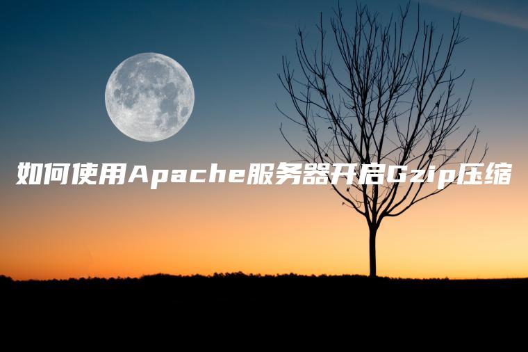 如何使用Apache服务器开启Gzip压缩