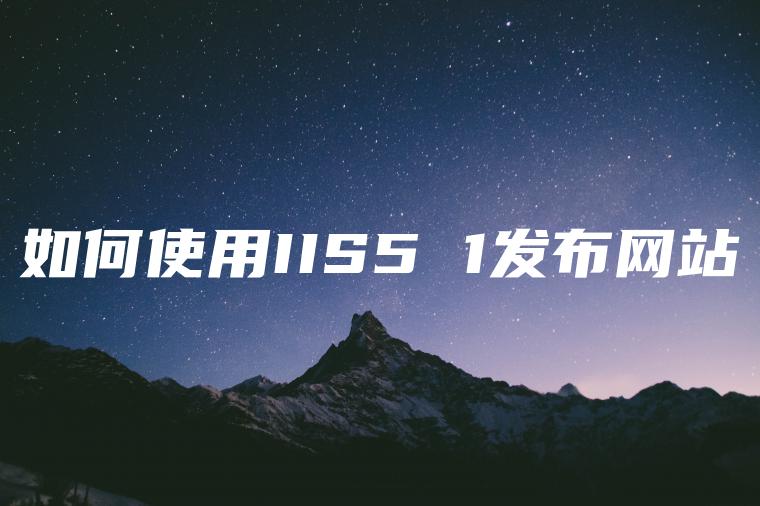 如何使用IIS5 1发布网站