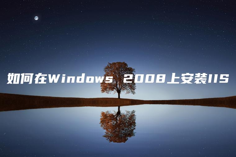 如何在Windows 2008上安装IIS