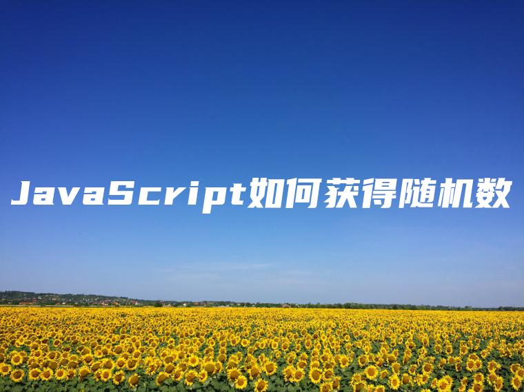 JavaScript如何获得随机数