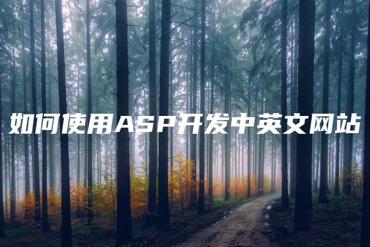 如何使用ASP开发中英文网站