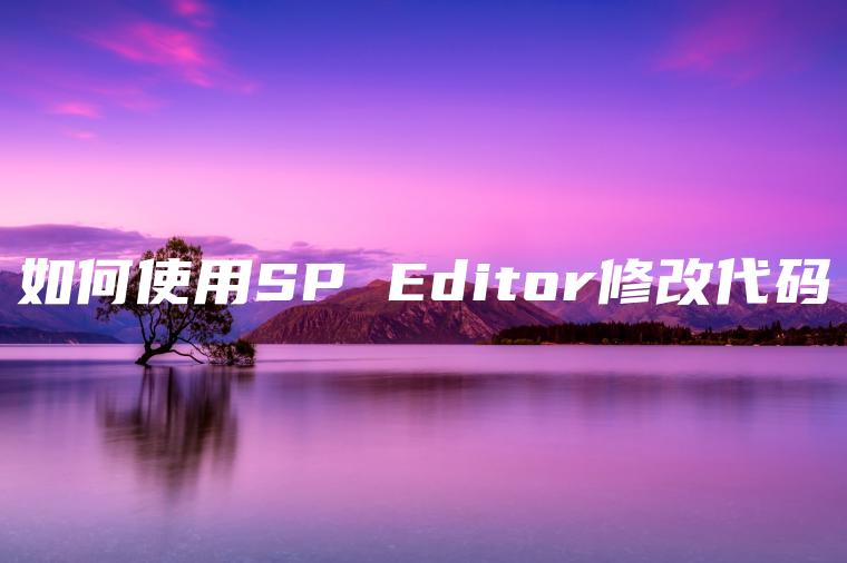 如何使用SP Editor修改代码