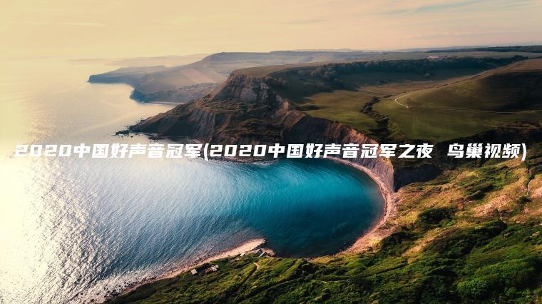 2020中国好声音冠军(2020中国好声音冠军之夜 鸟巢视频)